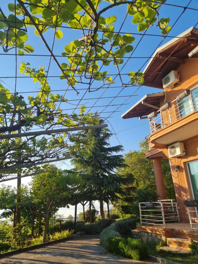 Vila Anastas Ohrid Exterior foto